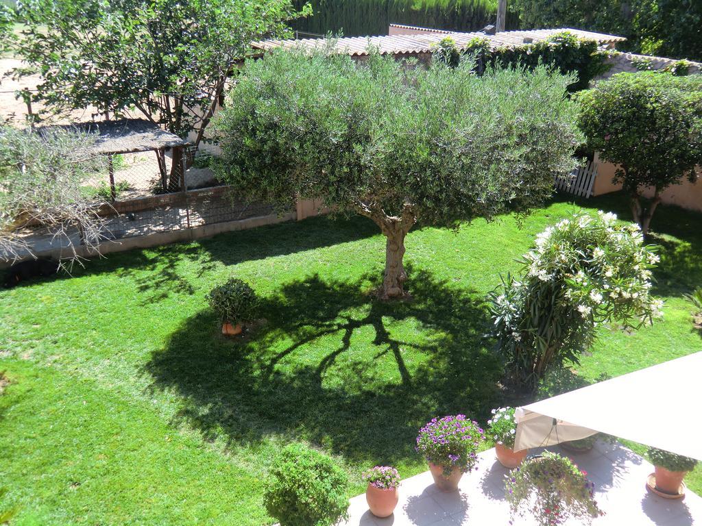 Casa Rural Hipica Mas Paguina Лестартит Екстериор снимка